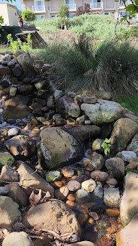 Manhattan Beach Botanical Garden photo 2
