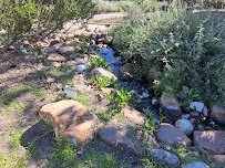 Manhattan Beach Botanical Garden photo 4