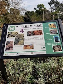 Manhattan Beach Botanical Garden photo 5