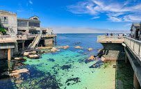 Monterey Bay Aquarium photo 3