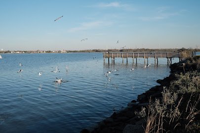 Baytown Nature Center photo 5