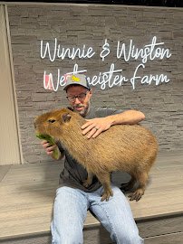Westmeister Farms - By Private Appointment