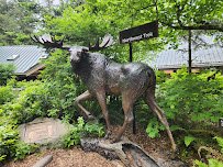 Northwest Trek Wildlife Park photo 3