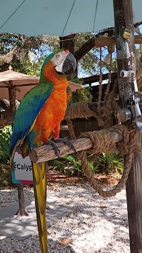 Wonder Gardens photo 2