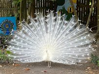 Wonder Gardens photo 5