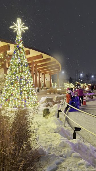 The Rink at Stine Community Park photo 2