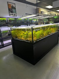 Natural Environment Aquatix photo 2