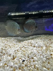 Natural Environment Aquatix photo 3