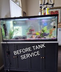 Natural Environment Aquatix photo 5