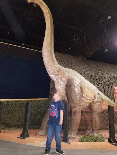 The Schiele Museum of Natural History & Planetarium photo 4