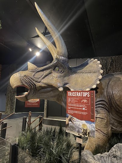 The Schiele Museum of Natural History & Planetarium photo 5