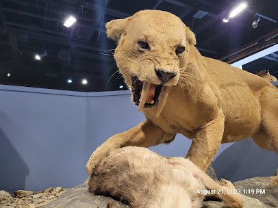 The Schiele Museum of Natural History & Planetarium photo 6