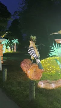 M&T Bank Rainforest Falls - Buffalo Zoo photo 2