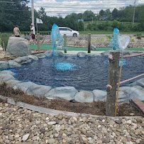 Meadows Family Fun Mini Golf photo 2