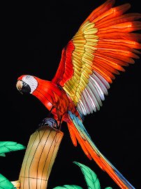 Stingray Bay photo 5