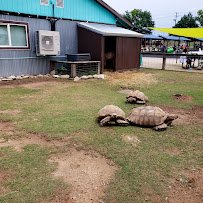 Paradise Beach Waterpark photo 5