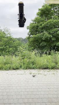 Crystal Lake Park District Nature Center photo 2