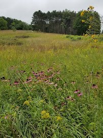 Crystal Lake Park District Nature Center photo 3