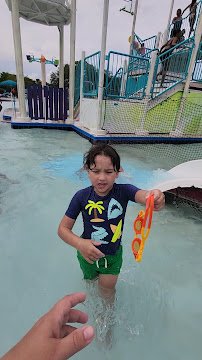 Castaway Island (TY PARK) photo 2