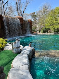 Steve & Sue's Par-Tee Freeze & Lightning Falls Mini Golf photo 4