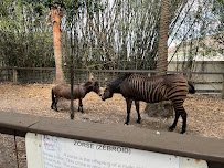 HorsePower for Kids & Animal Sanctuary