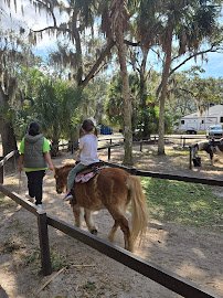 HorsePower for Kids & Animal Sanctuary photo 2