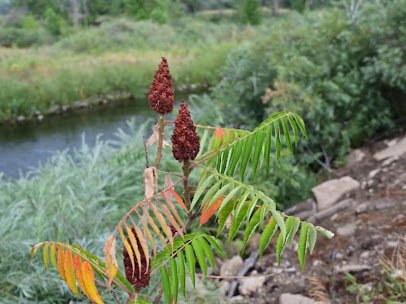 South Platte Park and Carson Nature Center photo 2