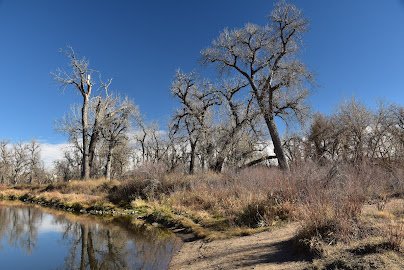 South Platte Park and Carson Nature Center photo 3