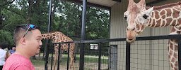 Texas Zoofari Park photo 2