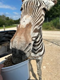 Texas Zoofari Park photo 6