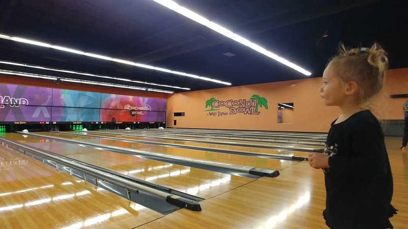 Coconut Bowl at Wild Island photo 2