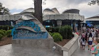 Suzanne and Walter Scott Aquarium
