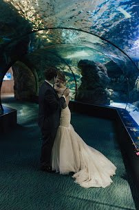Suzanne and Walter Scott Aquarium photo 6