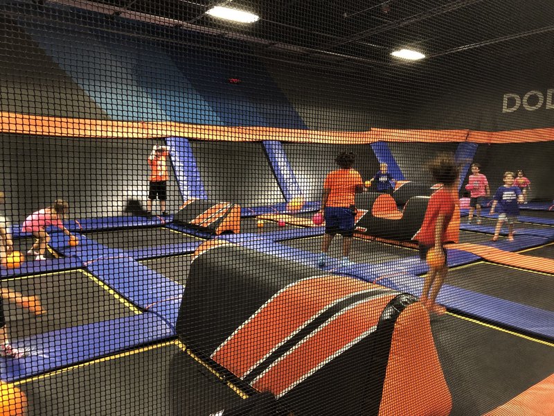 Summer Camp at Sky Zone Clearwater/Largo photo 3