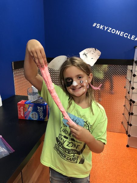 Summer Camp at Sky Zone Clearwater/Largo photo 6