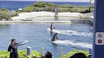 Sea Life Park Hawaii photo 2