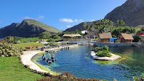 Sea Life Park Hawaii photo 4