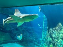 Sea Life Park Hawaii photo 5