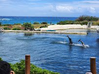 Sea Life Park Hawaii photo 6