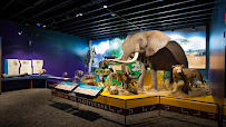 Museum of York County