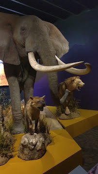 Museum of York County photo 2
