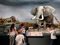 Museum of York County photo 3