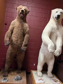 Museum of York County photo 4