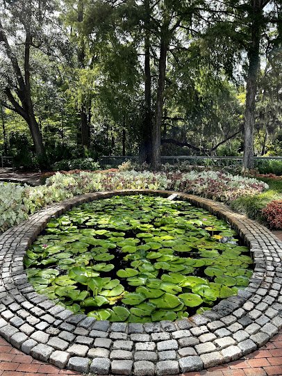 Shangri La Botanical Gardens and Nature Center photo 6
