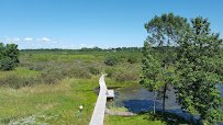 Woodland Dunes Nature Center & Preserve