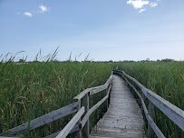 Woodland Dunes Nature Center & Preserve photo 4