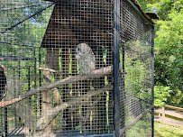 Connecticut's Beardsley Zoo photo 3