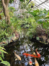 Connecticut's Beardsley Zoo photo 4