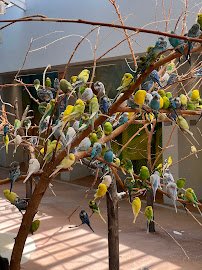 Brookfield Zoo Chicago photo 3