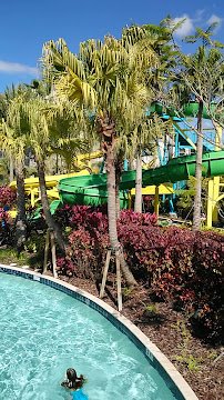The Grove Resort & Water Park Orlando photo 2